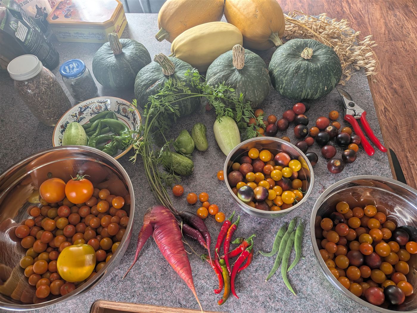 A garden harvest of winter squash, heirloom tomatoes, carrots, peppers and cucumbers